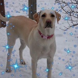 Meet your Posher, Rita